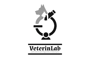 Client hover logo